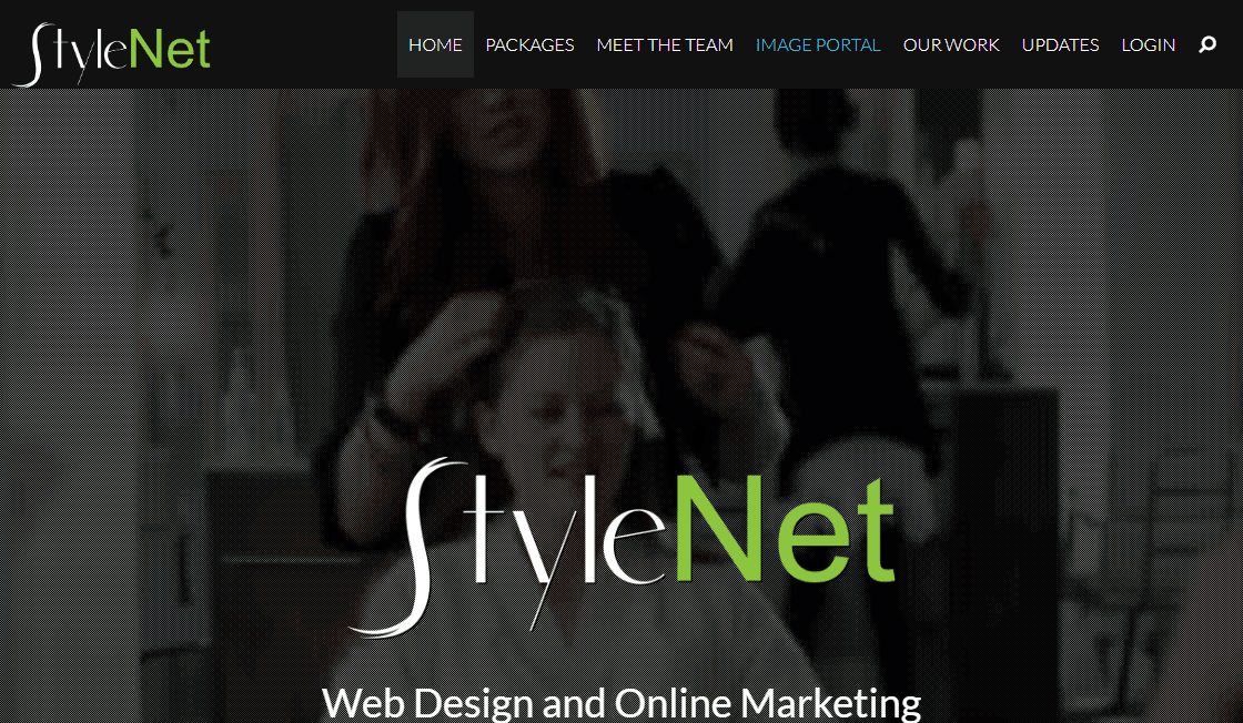 StyleNet icon