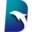 DolphinDB icon