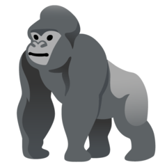 Gorilla Terminal icon