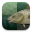 Stockfish icon