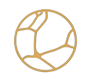 Kintsugi icon