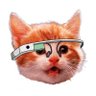 Product Hunt 😸 icon